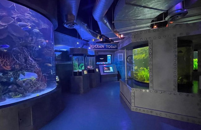 Houston City Tour & Aquarium - Photo 4